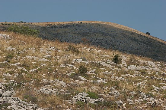 img3423