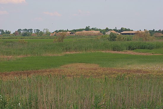 img2255