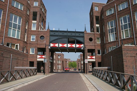 img20875