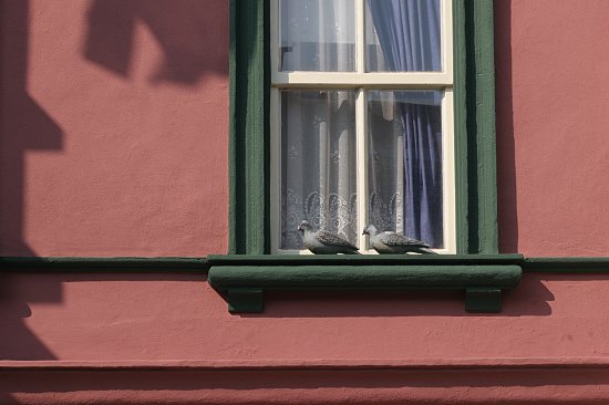 img03905