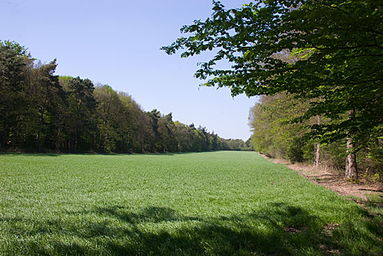 IMG40748