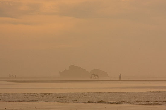 img68721