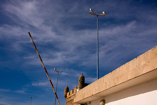 img68477