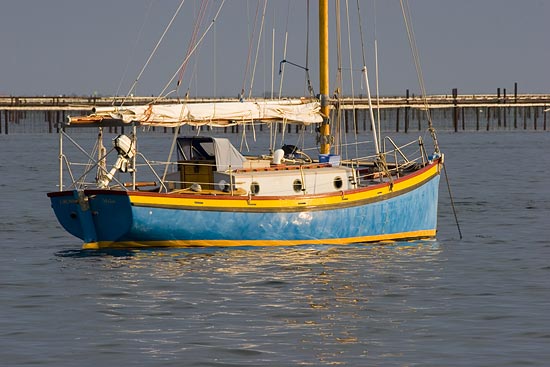 img34921