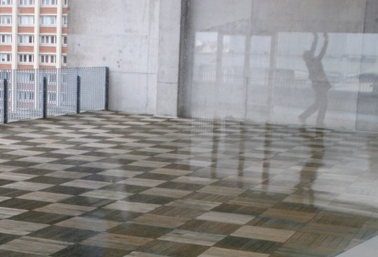 img20119