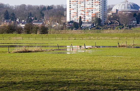 img29416