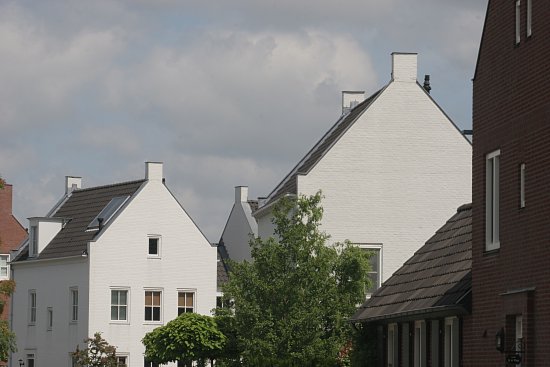 img20690