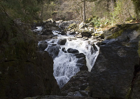 img09521