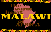 the warm heart of africa