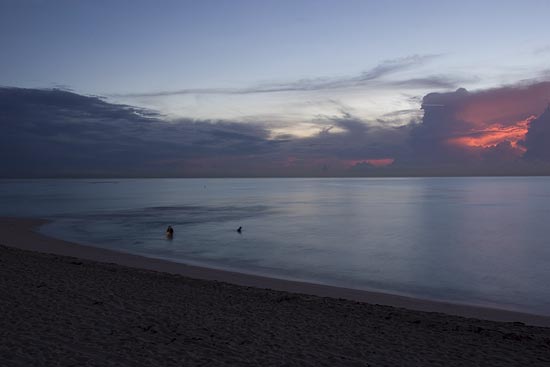 img36908