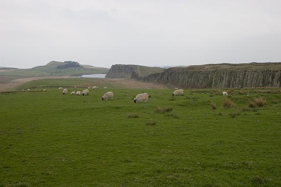 img09882