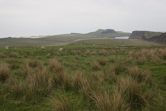 img09883