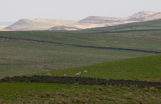 img09888