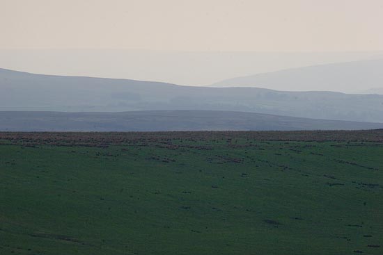 img09892