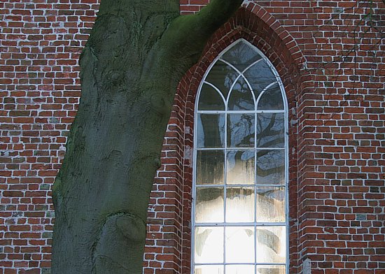 img6937