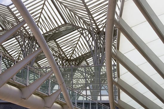 img33254