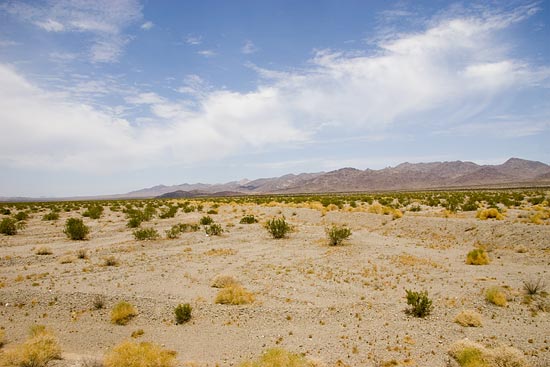 img44506