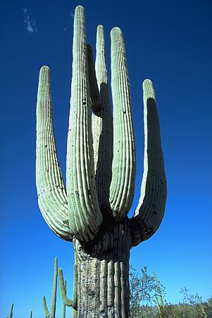 543-25