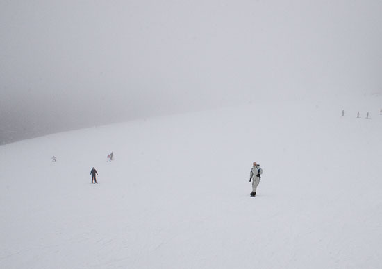 img07431