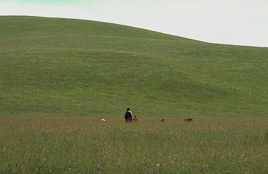 094-11