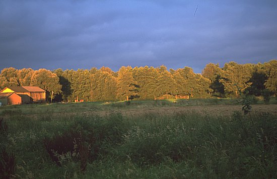 336-35