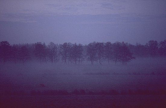 336-42