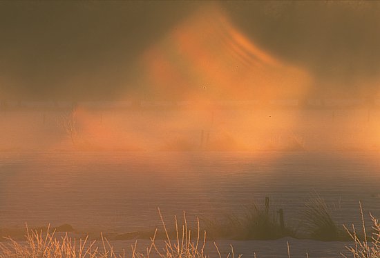 402-13