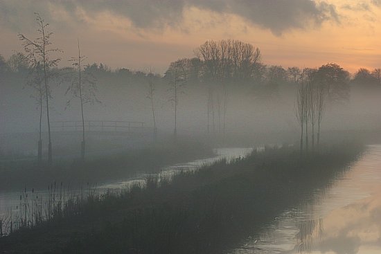 img7004