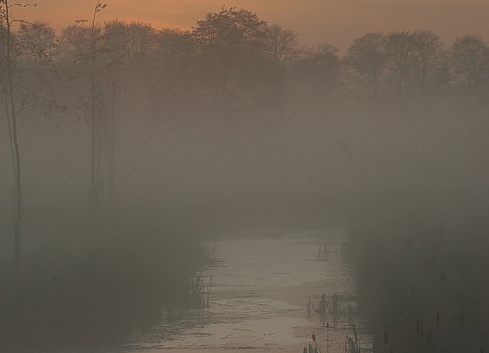 img7005