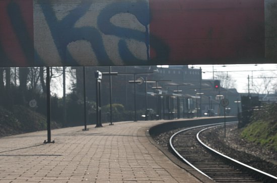 img7156