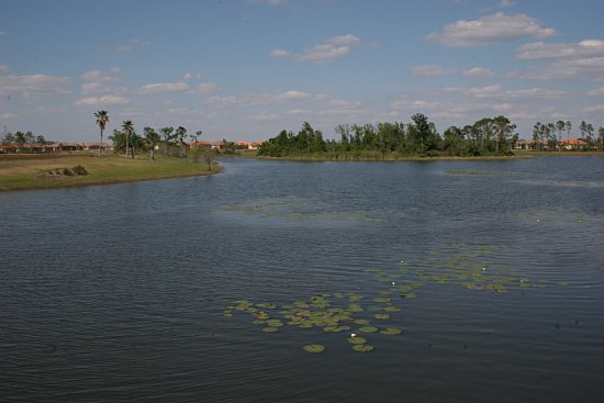 img8068
