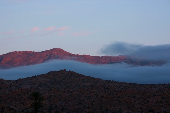 img67994