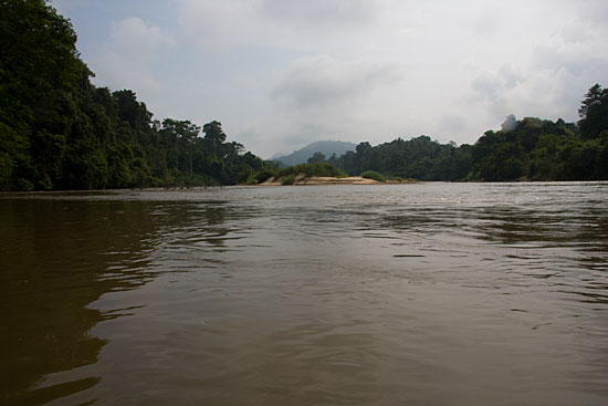 img72521