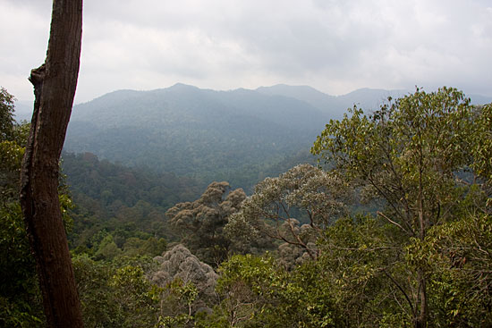 img72470