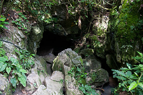 img72546