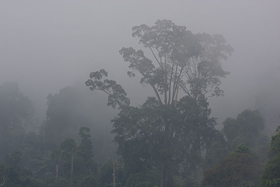img72686