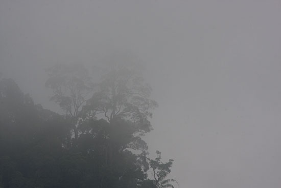 img72689