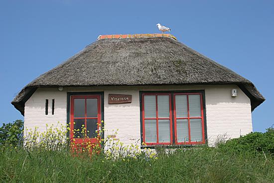img0418