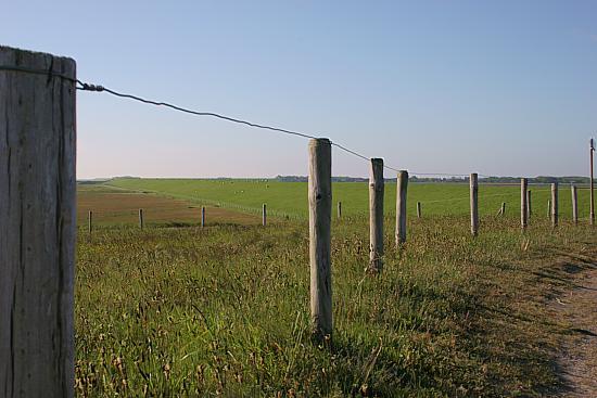 img0562