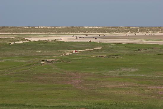 img0571