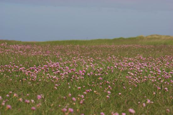 img0573