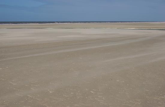 img0594