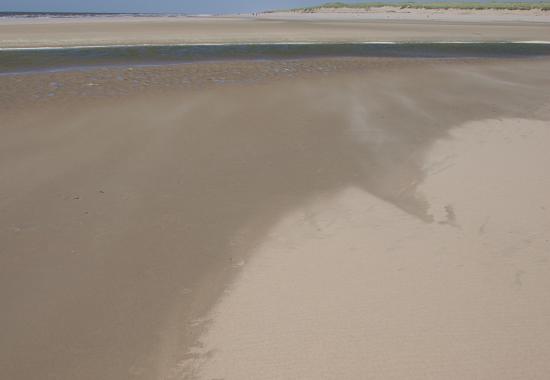 img0596