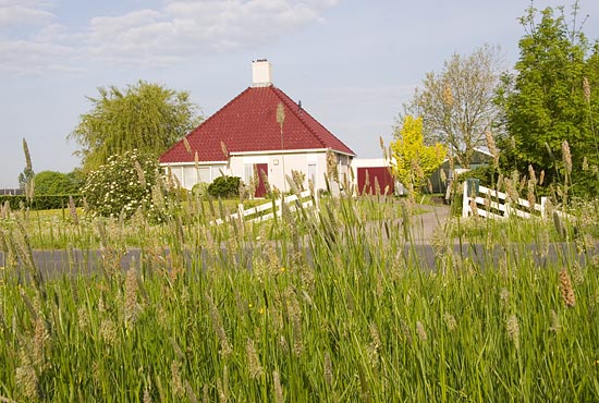 img40865