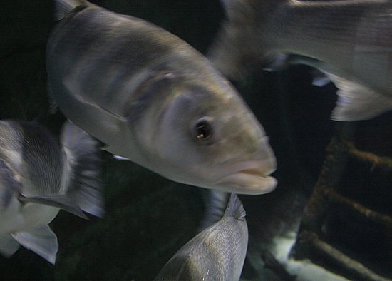 img7179