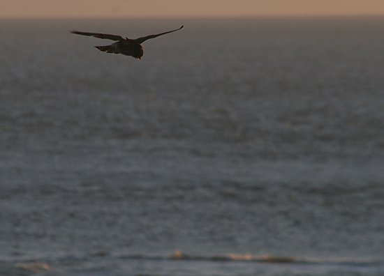 img7218