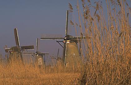 498-10