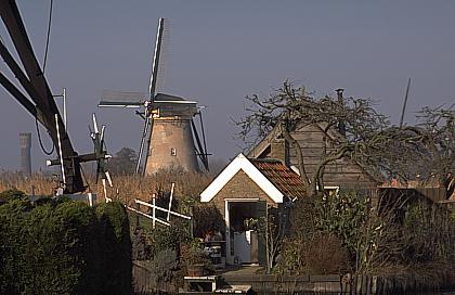 498-21