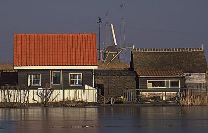 498-41